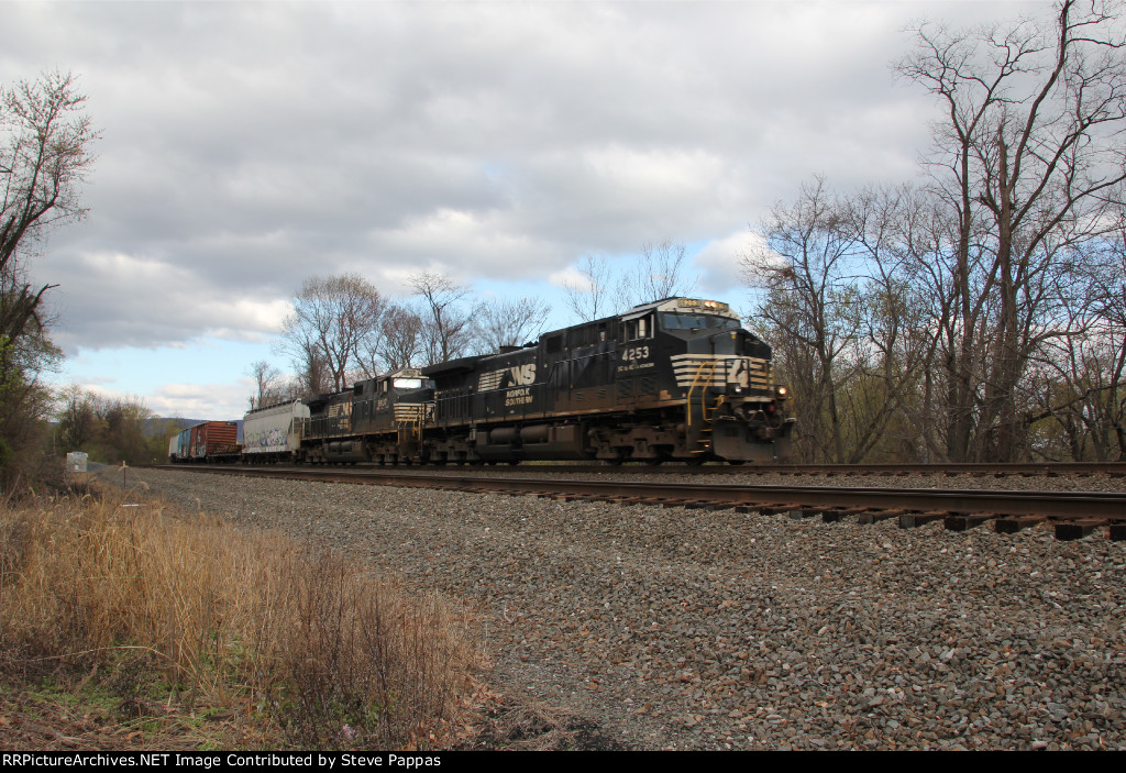NS 4253